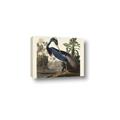 Picture of Vintage Heron Bird _GroupedProduct_Rectangle_Landscape_Canvas_