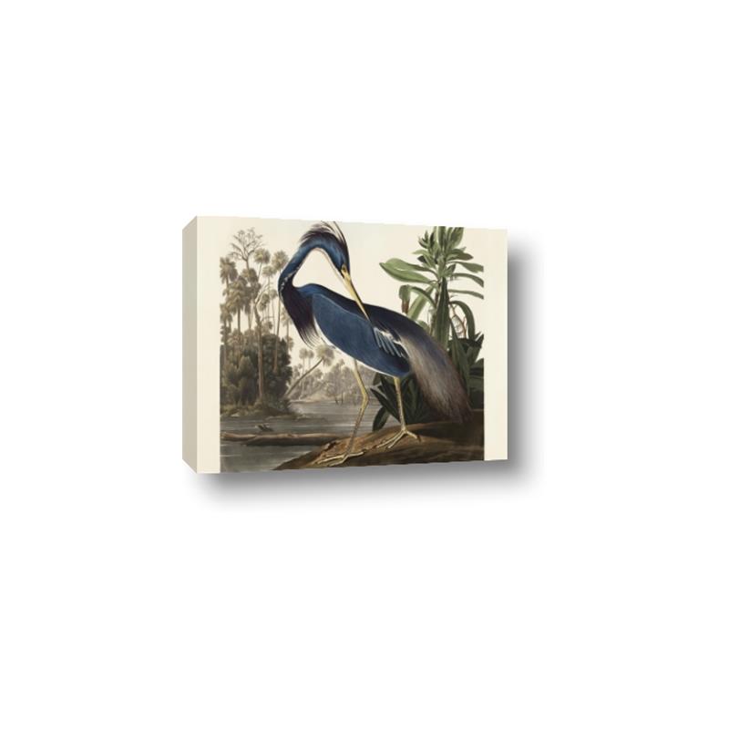 Picture of Vintage Heron Bird _GroupedProduct_Rectangle_Landscape_Canvas_