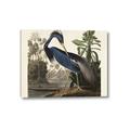 Picture of Vintage Heron Bird _GroupedProduct_Rectangle_Landscape_Canvas_