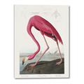Picture of Vintage Pink Flamingo _GroupedProduct_Rectangle_Portrait_Canvas_