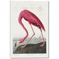 Picture of Vintage Pink Flamingo _GroupedProduct_Rectangle_Portrait_Canvas_