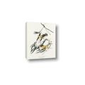 Picture of Two Yellow Warbler Birds _GroupedProduct_Rectangle_Portrait_Canvas_
