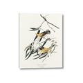 Picture of Two Yellow Warbler Birds _GroupedProduct_Rectangle_Portrait_Canvas_