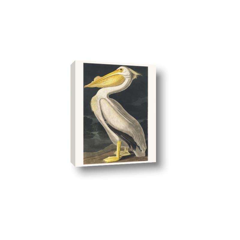 Picture of Vintage White Pelican _GroupedProduct_Rectangle_Portrait_Canvas_