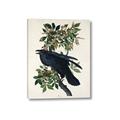 Picture of Raven From Birds of America (1827) _GroupedProduct_Rectangle_Portrait_Canvas_