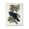 Picture of Raven From Birds of America (1827) _GroupedProduct_Rectangle_Portrait_Canvas_