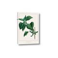 Picture of Nostalgic Green Lilac Leaves _GroupedProduct_Rectangle_Portrait_Canvas_