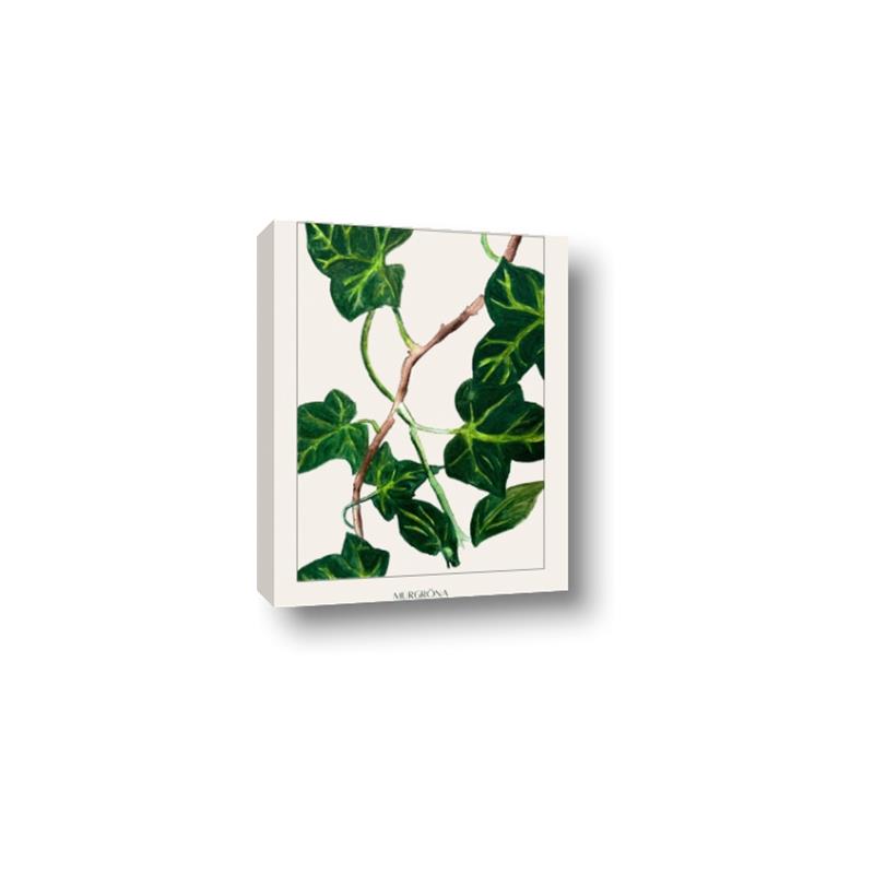 Picture of Nostalgic Green Murgrona Leaves _GroupedProduct_Rectangle_Portrait_Canvas_