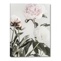 Picture of Romantic Blur Peony V _GroupedProduct_Rectangle_Portrait_Photography _GroupedProduct_Rectangle_Portrait_Canvas_