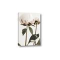 Picture of Romantic Blur Peony IV _GroupedProduct_Rectangle_Portrait_Photography _GroupedProduct_Rectangle_Portrait_Canvas_