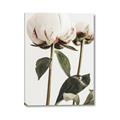 Picture of Romantic Blur Peony IV _GroupedProduct_Rectangle_Portrait_Photography _GroupedProduct_Rectangle_Portrait_Canvas_