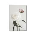Picture of Romantic Blur Peony III _GroupedProduct_Rectangle_Portrait_Photography _GroupedProduct_Rectangle_Portrait_Canvas_