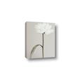 Picture of Romantic Blur Peony I _GroupedProduct_Rectangle_Portrait_Photography _GroupedProduct_Rectangle_Portrait_Canvas_