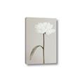 Picture of Romantic Blur Peony I _GroupedProduct_Rectangle_Portrait_Photography _GroupedProduct_Rectangle_Portrait_Canvas_