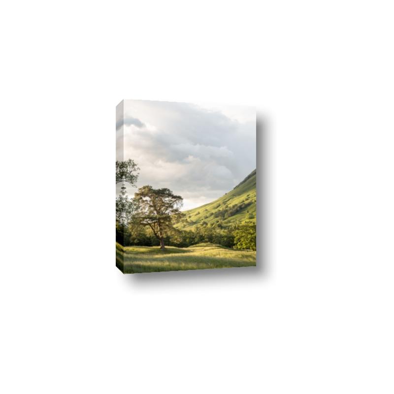 Picture of Green Spring Highlands _GroupedProduct_Rectangle_Portrait_Photography _GroupedProduct_Rectangle_Portrait_Canvas_