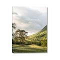Picture of Green Spring Highlands _GroupedProduct_Rectangle_Portrait_Photography _GroupedProduct_Rectangle_Portrait_Canvas_