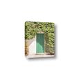 Picture of Green Door with Lush Leaves _GroupedProduct_Rectangle_Portrait_Photography _GroupedProduct_Rectangle_Portrait_Canvas_