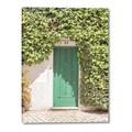 Picture of Green Door with Lush Leaves _GroupedProduct_Rectangle_Portrait_Photography _GroupedProduct_Rectangle_Portrait_Canvas_