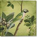 Picture of Vintage Tropical Birds I _GroupedProduct_Square_Canvas_