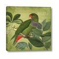 Picture of Vintage Tropical Birds II _GroupedProduct_Square_Canvas_