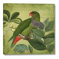 Picture of Vintage Tropical Birds II _GroupedProduct_Square_Canvas_