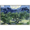 Picture of Vincent Van Gogh's Olive Trees With the Alpilles (1889) _GroupedProduct_Rectangle_Landscape_Canvas_Framed_