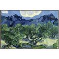 Picture of Vincent Van Gogh's Olive Trees With the Alpilles (1889) _GroupedProduct_Rectangle_Landscape_Canvas_Framed_