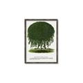 Picture of Kilmarnock Weeping Willow Tree Lithograph _GroupedProduct_Rectangle_Portrait_Canvas_Framed_