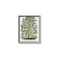 Picture of Hardy Magnolia Tree Lithograph _GroupedProduct_Rectangle_Portrait_Canvas_Framed_
