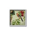 Picture of Tangerine Vintage Bird _GroupedProduct_Square_Canvas_Framed_