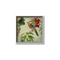Picture of Tangerine Vintage Bird _GroupedProduct_Square_Canvas_Framed_