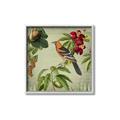 Picture of Tangerine Vintage Bird _GroupedProduct_Square_Canvas_Framed_
