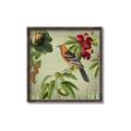 Picture of Tangerine Vintage Bird _GroupedProduct_Square_Canvas_Framed_