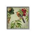 Picture of Tangerine Vintage Bird _GroupedProduct_Square_Canvas_Framed_