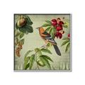 Picture of Tangerine Vintage Bird _GroupedProduct_Square_Canvas_Framed_