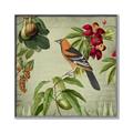 Picture of Tangerine Vintage Bird _GroupedProduct_Square_Canvas_Framed_