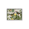 Picture of Parrots Nostalgic Journey 2 _GroupedProduct_Rectangle_Landscape_Canvas_Framed_