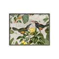 Picture of Parrots Nostalgic Journey 2 _GroupedProduct_Rectangle_Landscape_Canvas_Framed_