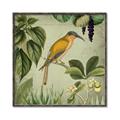 Picture of Yellow Nostalgic Tropical Birds _GroupedProduct_Square_Canvas_Framed_