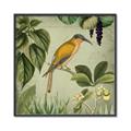 Picture of Yellow Nostalgic Tropical Birds _GroupedProduct_Square_Canvas_Framed_