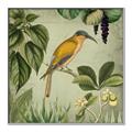 Picture of Yellow Nostalgic Tropical Birds _GroupedProduct_Square_Canvas_Framed_
