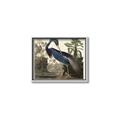 Picture of Vintage Heron Bird _GroupedProduct_Rectangle_Landscape_Canvas_Framed_
