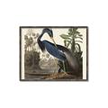 Picture of Vintage Heron Bird _GroupedProduct_Rectangle_Landscape_Canvas_Framed_