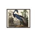 Picture of Vintage Heron Bird _GroupedProduct_Rectangle_Landscape_Canvas_Framed_
