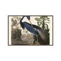 Picture of Vintage Heron Bird _GroupedProduct_Rectangle_Landscape_Canvas_Framed_