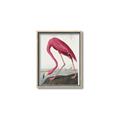 Picture of Vintage Pink Flamingo _GroupedProduct_Rectangle_Portrait_Canvas_Framed_