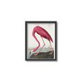 Picture of Vintage Pink Flamingo _GroupedProduct_Rectangle_Portrait_Canvas_Framed_