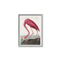 Picture of Vintage Pink Flamingo _GroupedProduct_Rectangle_Portrait_Canvas_Framed_