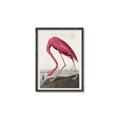 Picture of Vintage Pink Flamingo _GroupedProduct_Rectangle_Portrait_Canvas_Framed_