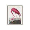 Picture of Vintage Pink Flamingo _GroupedProduct_Rectangle_Portrait_Canvas_Framed_